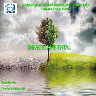 Impacto ambiental