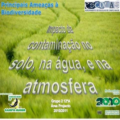 Impacto da contaminação no solo, na água e na atmosfera | PDF
