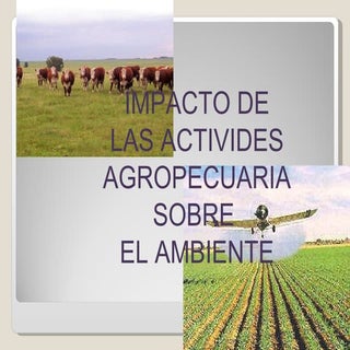 Impacto De Las Actividades Agropecu...
