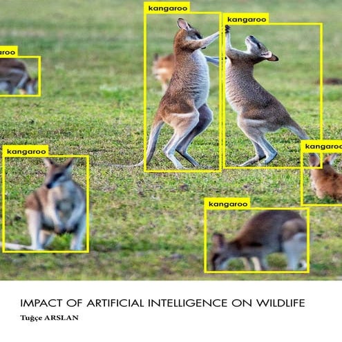 Impact Of Artificial Intelligence On Wildlife