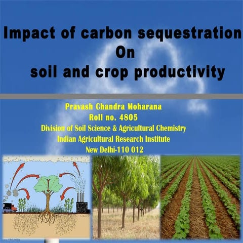 Impact of carbon sequestration on soil and crop productivity