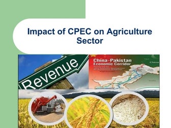 Impact of cpec on agri sector