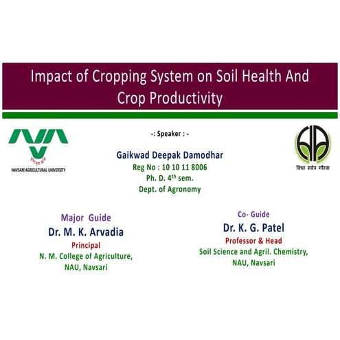 Impact of cropping system on soil health and crop productivity