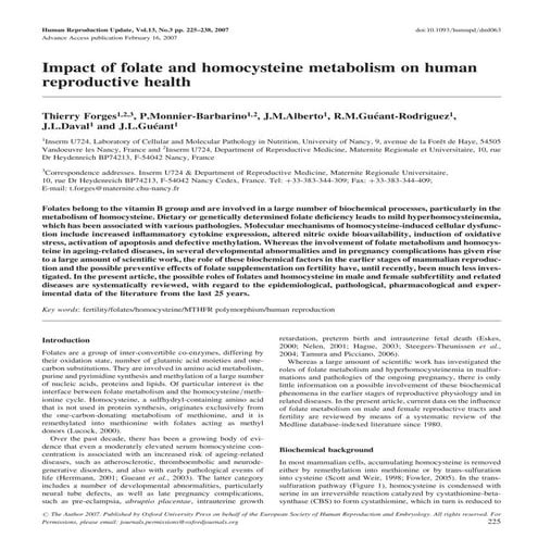 One carbon metabolism | PPTX