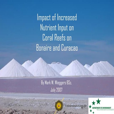 Impact Of Increased Nutrient Input On Coral Reefs On Bonaire And ...