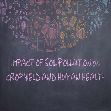 Impact of Soil Pollution n Human healh and Crop Yield.pptx