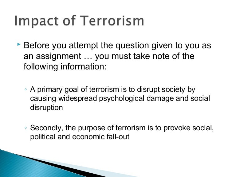 causes and effects of terrorism essay