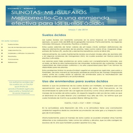 Impacto mejicorrectio ca