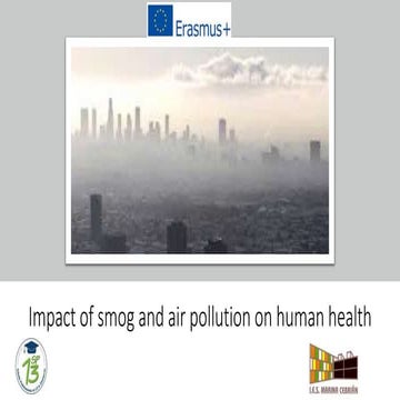 Impact on smog and air pollution | PPTX