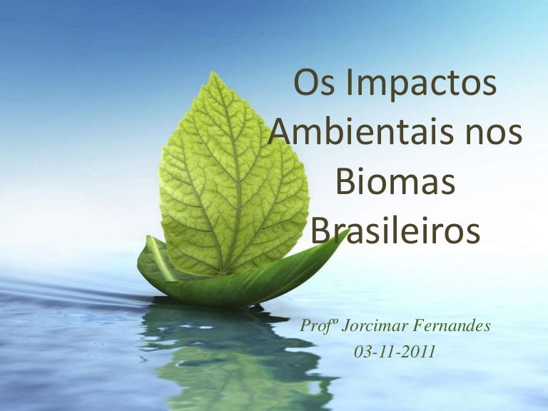 Enem Com O Objetivo De Avaliar Os Impactos Ambientais