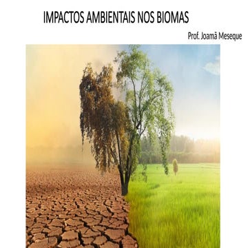 IMPACTOS AMBIENTAIS NOS BIOMAS BRASILEIROS | PPTX