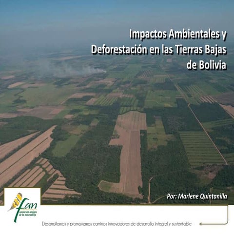 Impactos ambientales y deforestación en las tierras bajas de Bolivia