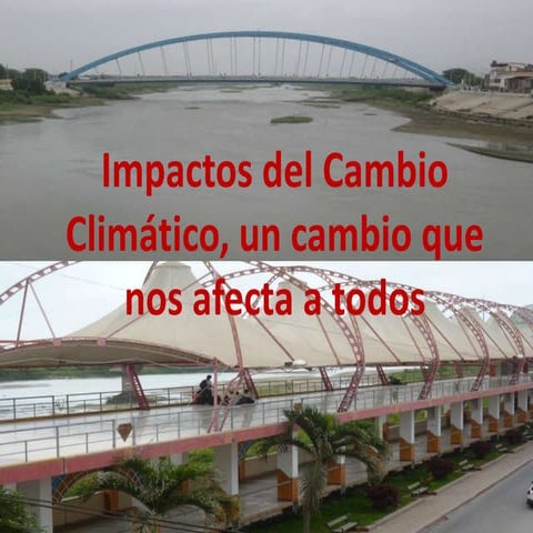 Impactos Cambio Climatico
