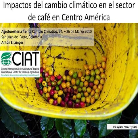 A Eitzinger - Pasto, Impactos CC Cafe