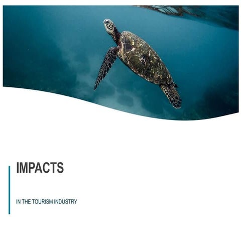 Impacts in the tourism industry: analysis 