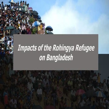 Impacts of rohingya refugee.