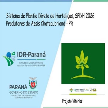 Sistema de Plantio Direto de Hortaliças (SPDH) 2026: Caso de Produtor ...