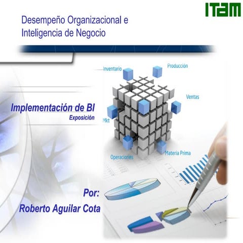 Implementacion de bi 