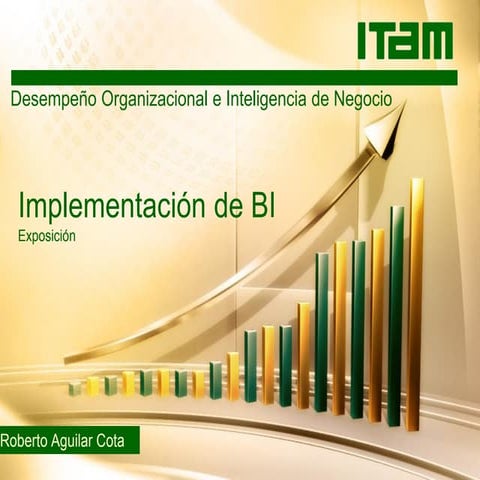 BI Conceptos e implementación