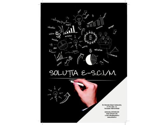 Solutia de control intern managerial | PPT