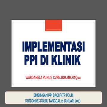 KAK Program PPI.pdf