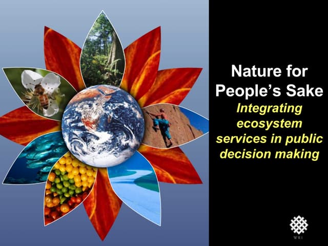 Implementing Ecosystem Services in Public Decision Making