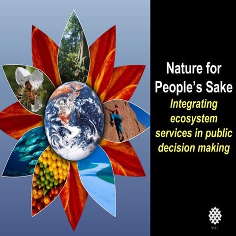 Implementing Ecosystem Services in Public Decision Making