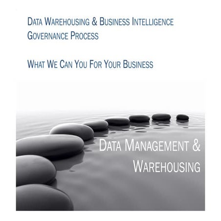 Implementing BI & DW Governance