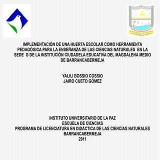 Implemetacion de una huerta escolar