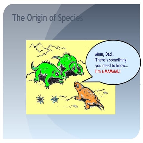 Implications of variation adaptation and natural selection