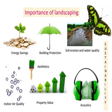 Importance and scope  of landscaping