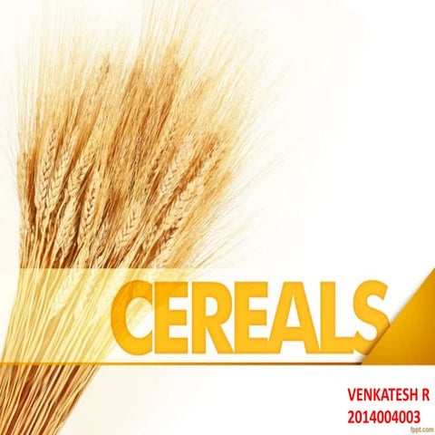 Importance, area, production and productivity of cereals