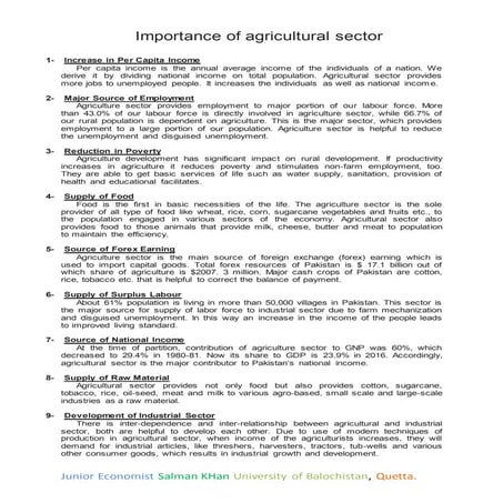 Importance of Agricultural Sector