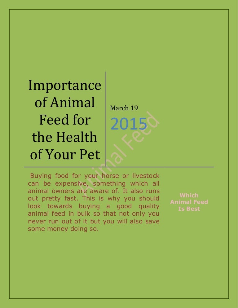 Importance of animal feed for the health of your pet