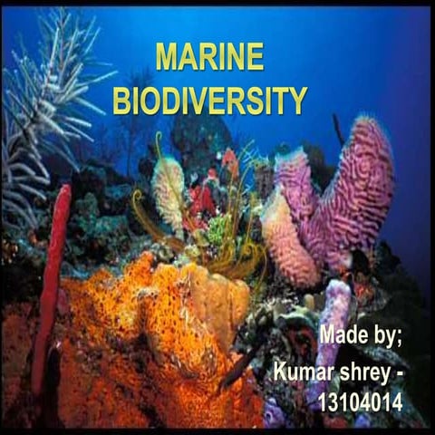 Importance of biodiversity