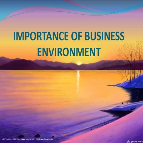 Importance of business environment