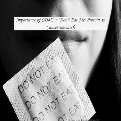 Importance of CD47, a Don’t Eat Me Protein, in Cancer Research | PDF