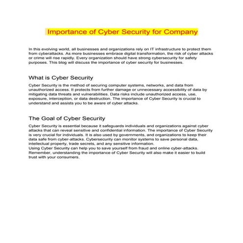 Importance of Cyber Security for Company.pdf