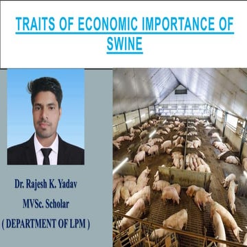  economic Traits of swine