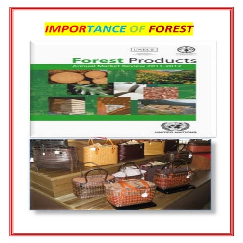 Importance of forest