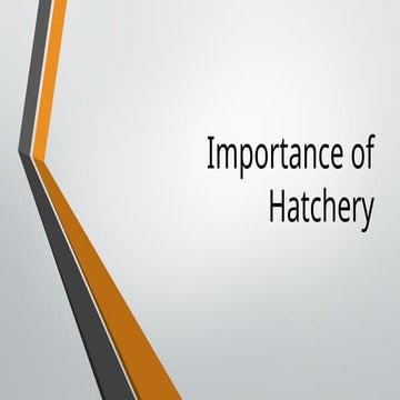 Importance of Hatchery in rearing fish.pptx