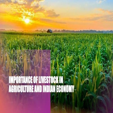 Livestock -Backbone of Rural India | DOCX