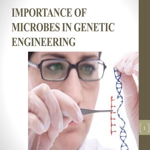 Importance of microbes in genetic engineering