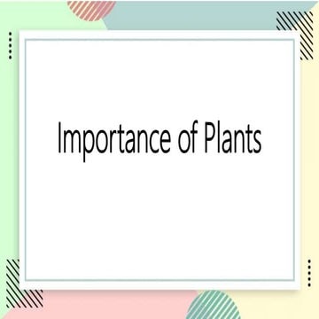 Importance of Plant