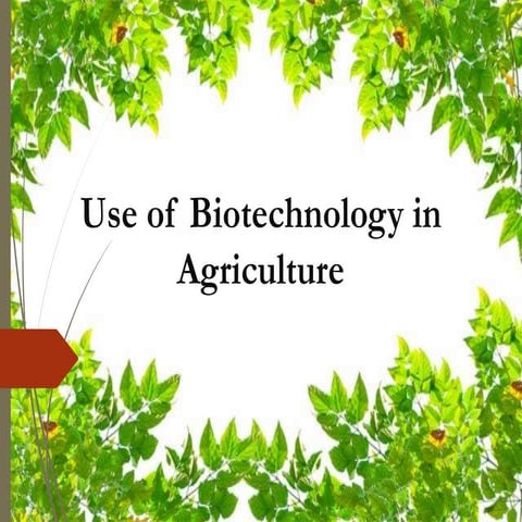 Importance of plant bio technology in agriculture