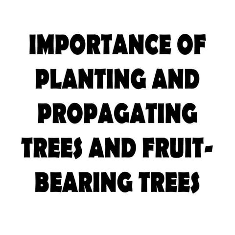 IMPORTANCE OF PLANTING AND PROPAGATING TREES AND FRUIT-BEARING TREES