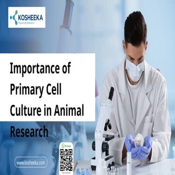 Comprehensive Overview of Primary Cell Culture in Animal Research and ...