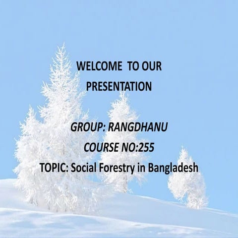 Importance of social forestry for food security in Bangladesh