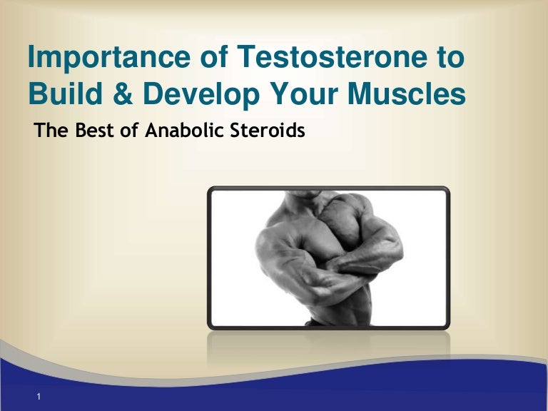 The Importance Of Testosterone For Your Muscle