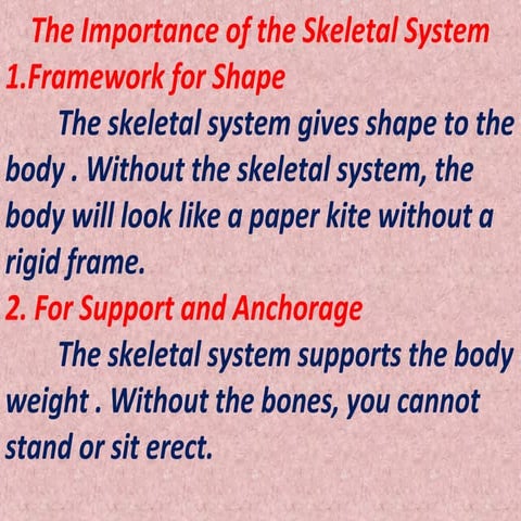Importance of the skeletal system